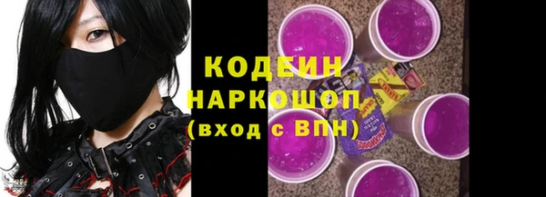 гашик Осинники