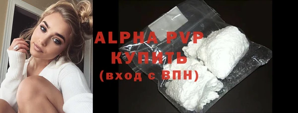 гашик Осинники