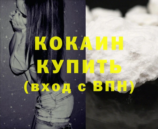 гашик Осинники