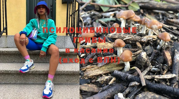 гашик Осинники