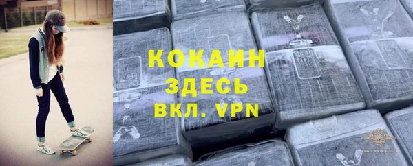гашик Осинники