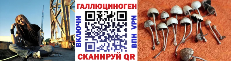 Галлюциногенные грибы прущие грибы Болхов