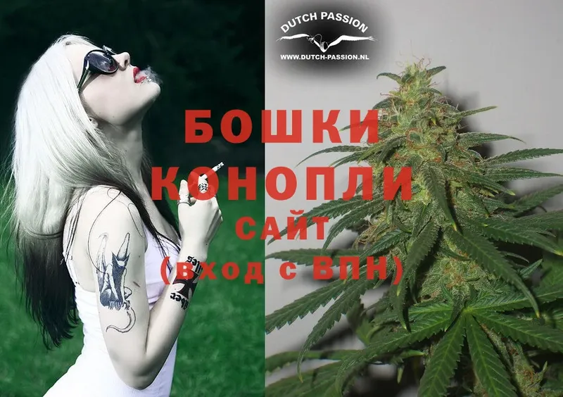 Шишки марихуана THC 21%  где найти   Болхов 